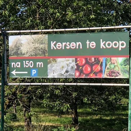 Gastenverblijf Op De Prins Hendrik Hoeve In Buren Buren  Exterior photo