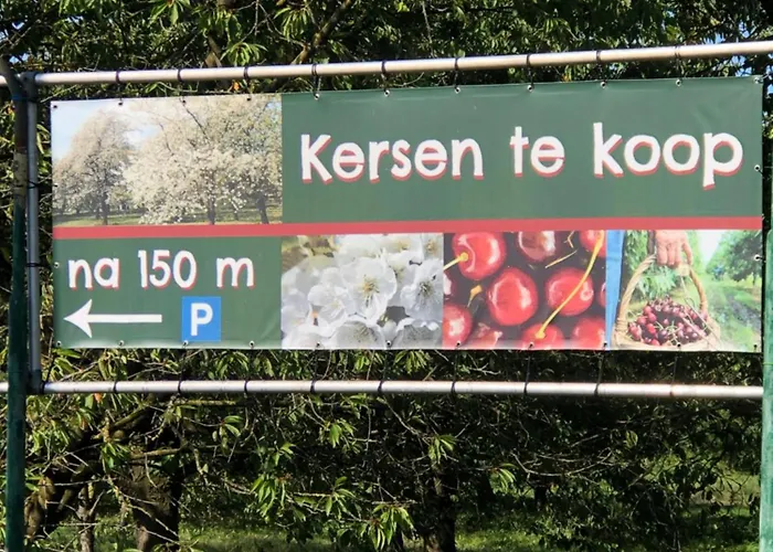 Gastenverblijf Op De Prins Hendrik Hoeve In Buren