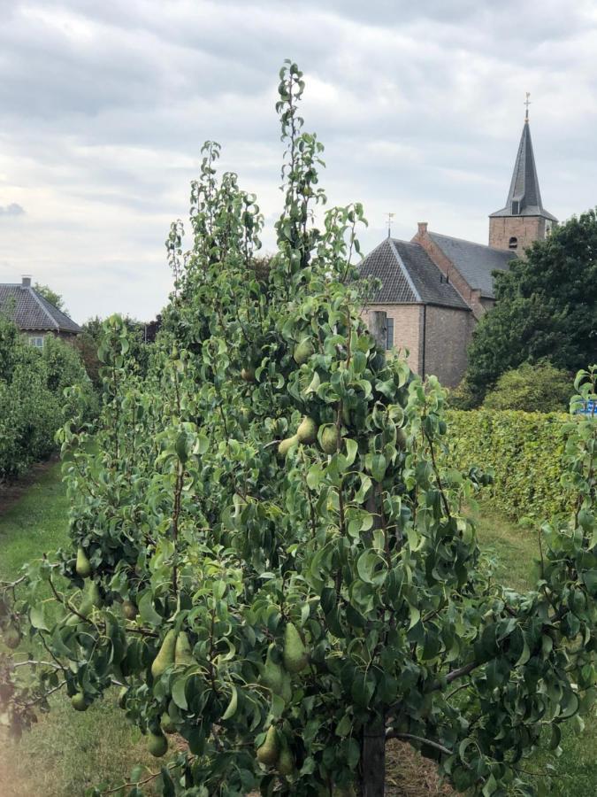 Op De Hendrik Hoeve In Buren Buren (Gelderland)