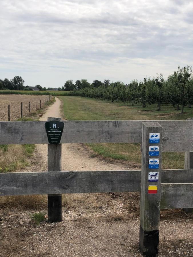 Op De Hendrik Hoeve In Buren Holiday home Buren (Gelderland)